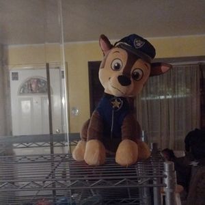PAW PATROL CHASE
